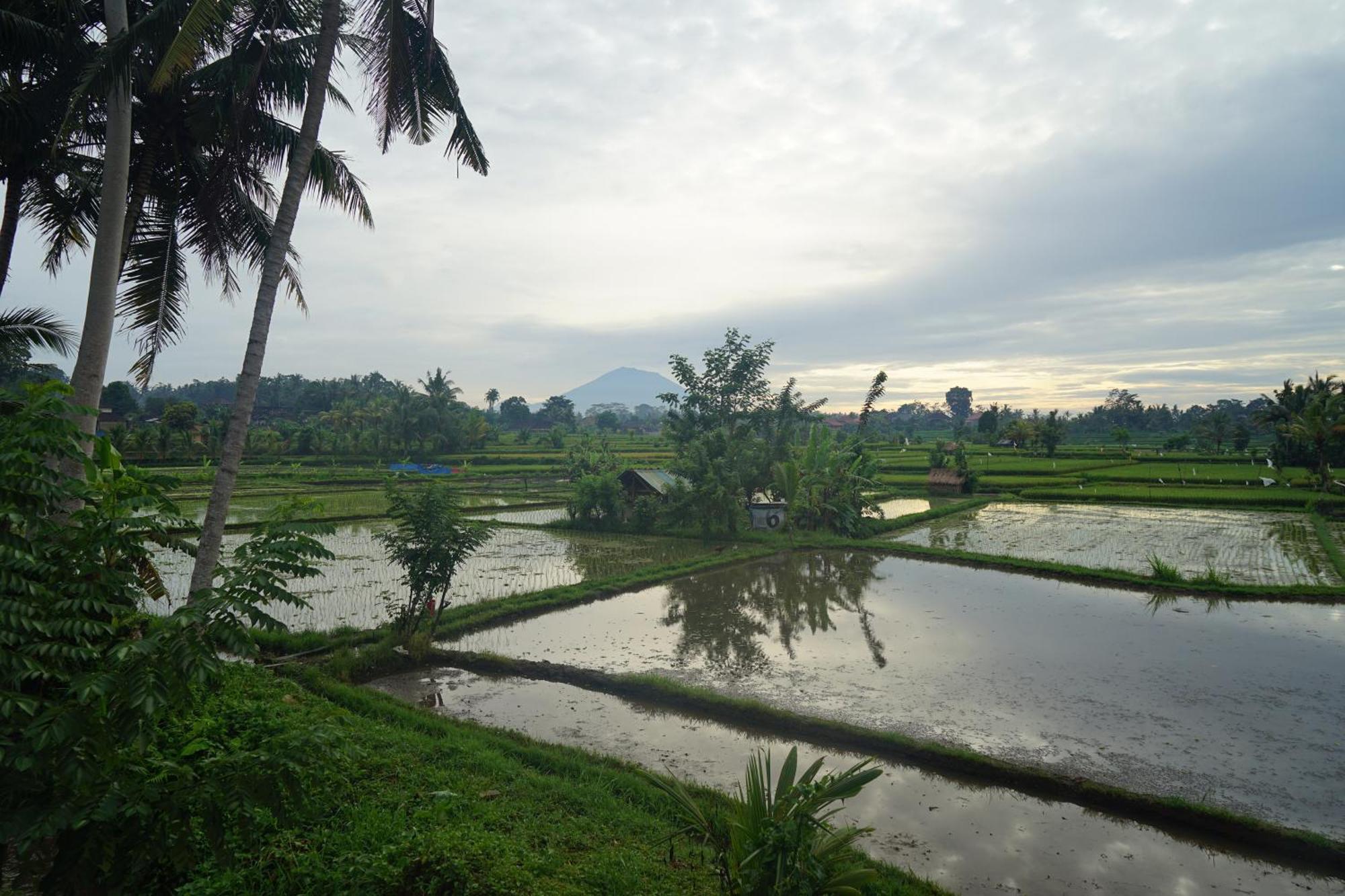 Santun Luxury Private Villas Ubud  Room photo